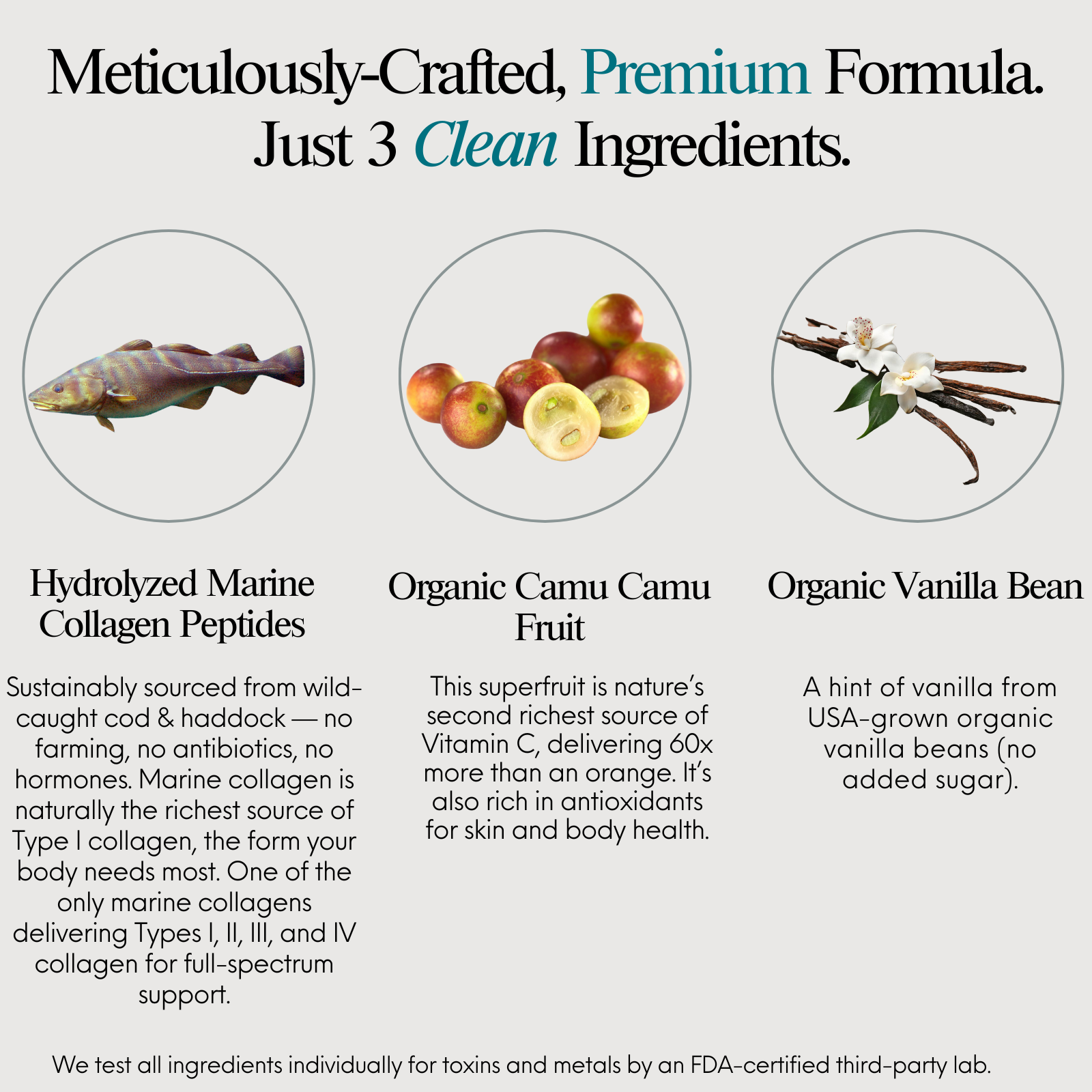 Premium Marine Collagen Peptides Powder, Organic Vanilla Bean
