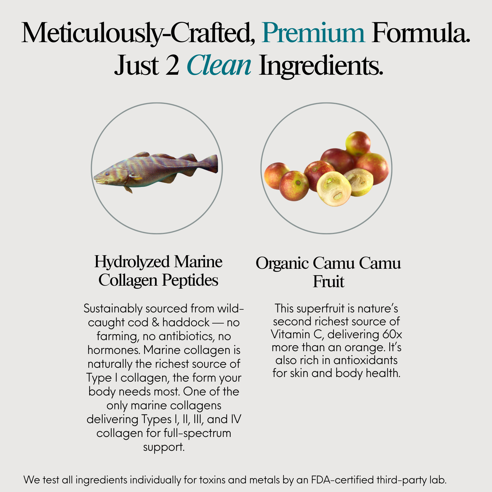 Premium Marine Collagen Peptides Powder, Unflavored